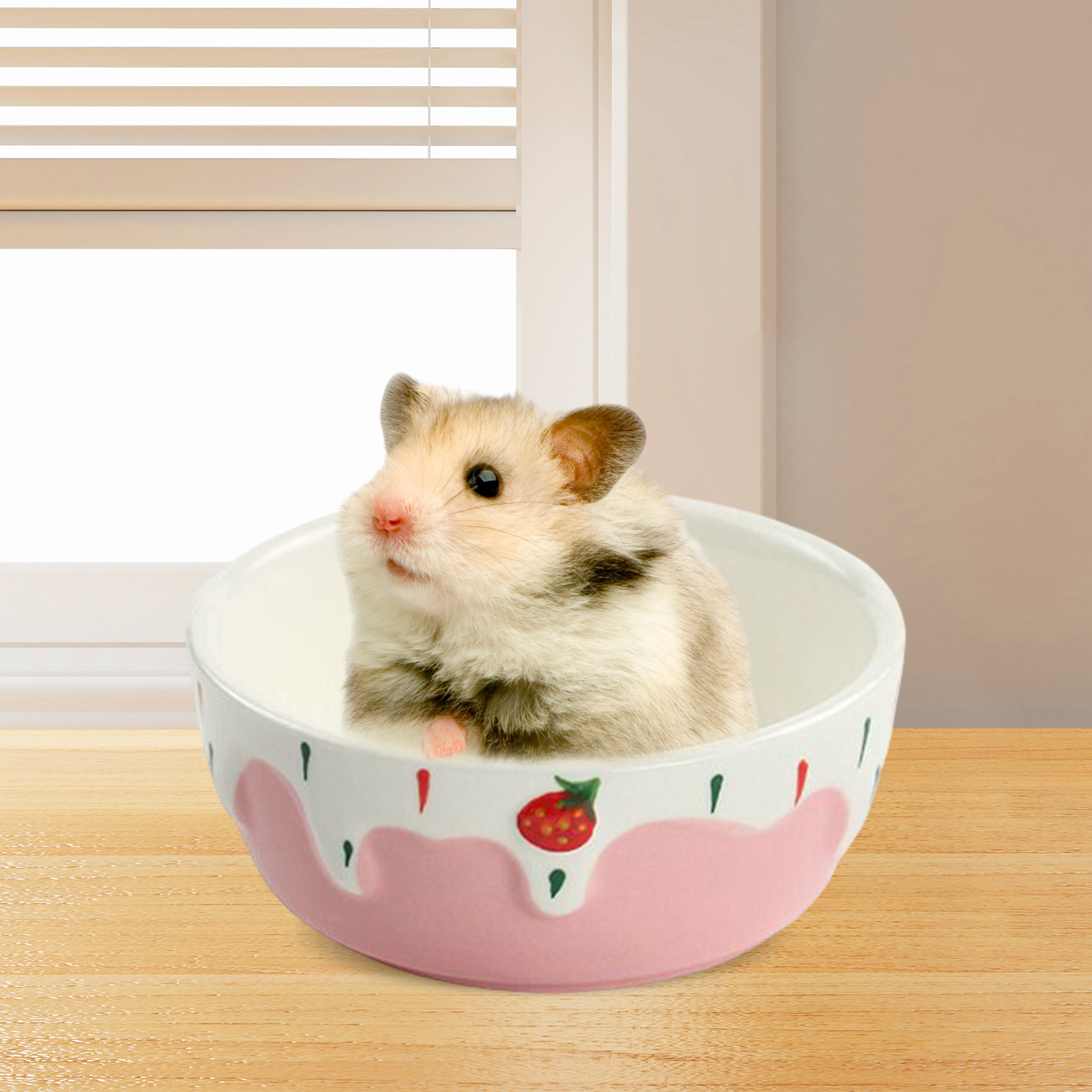 Hamster Food Bowl Easy to Clea – обзор и цена Baby Food Gerber