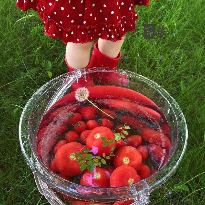 Food Grade Large Capacity Tran – обзор и цена Baby Food Intake